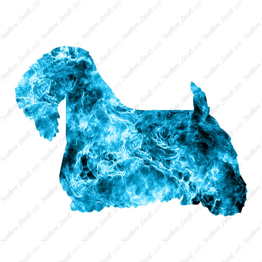 Sealyham Terrier Dog Breed