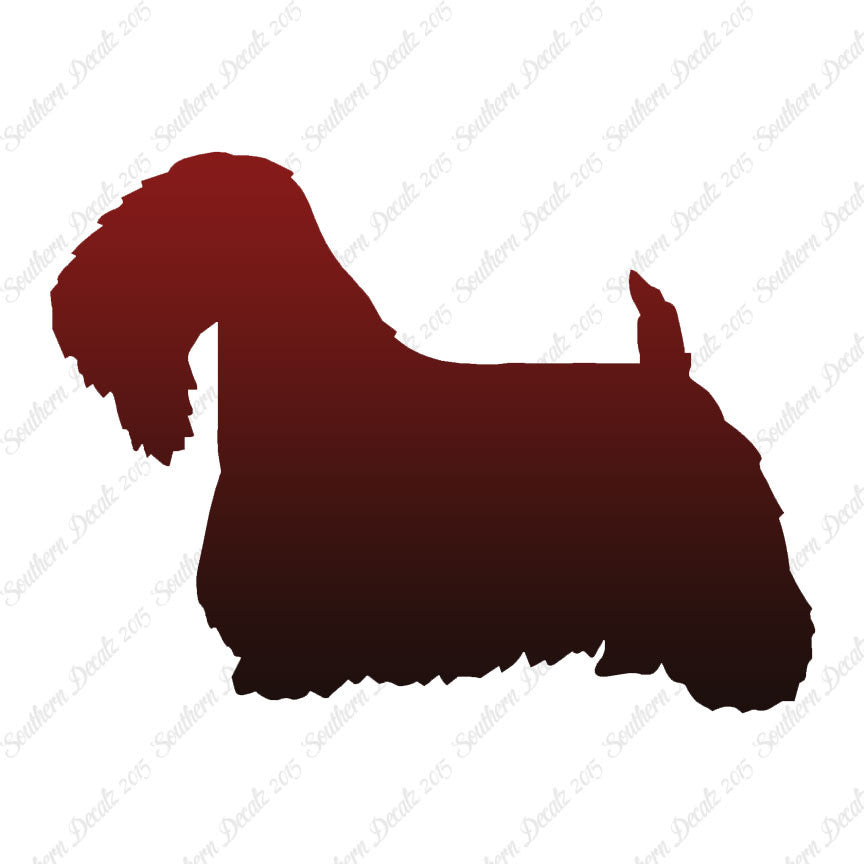 Sealyham Terrier Dog Breed
