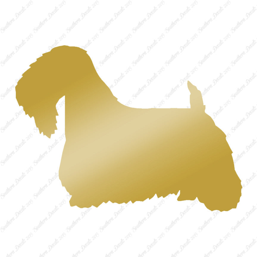 Sealyham Terrier Dog Breed