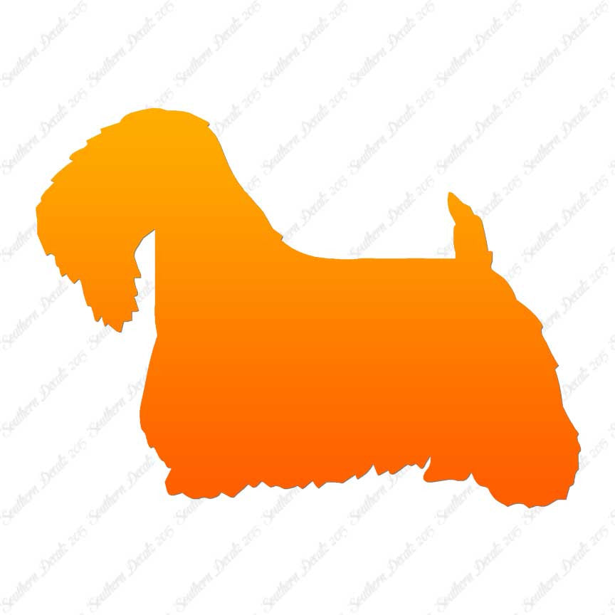 Sealyham Terrier Dog Breed