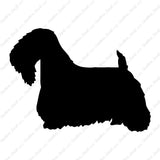 Sealyham Terrier Dog Breed