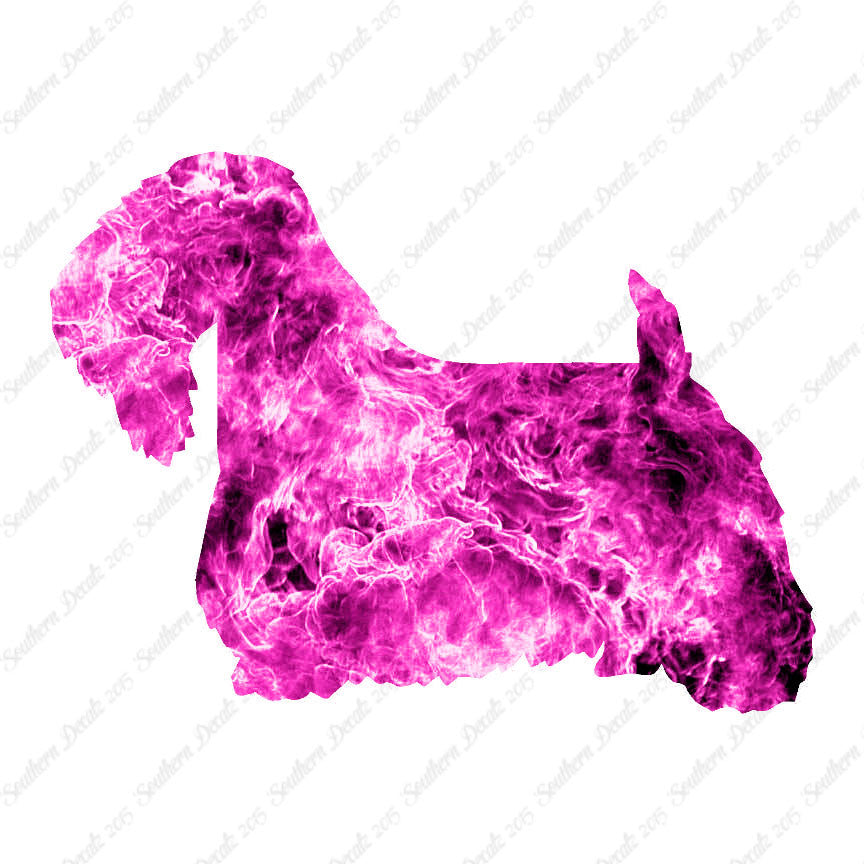 Sealyham Terrier Dog Breed