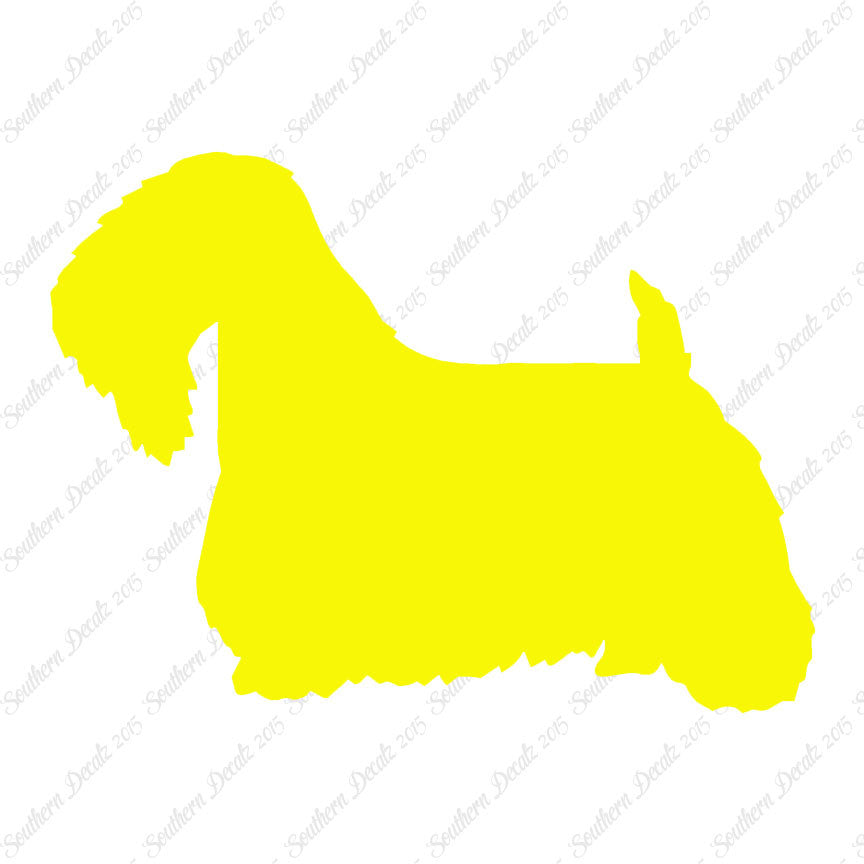 Sealyham Terrier Dog Breed