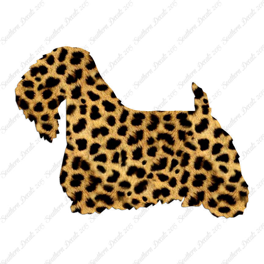 Sealyham Terrier Dog Breed