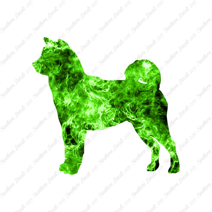 Shiba Inu Dog Breed