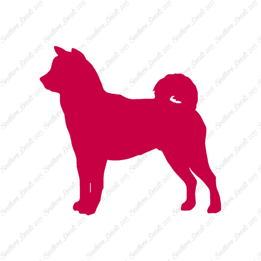 Shiba Inu Dog Breed