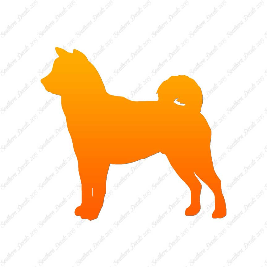 Shiba Inu Dog Breed