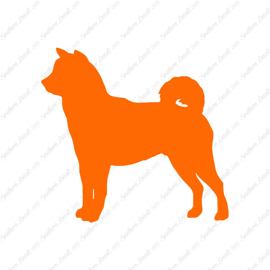 Shiba Inu Dog Breed