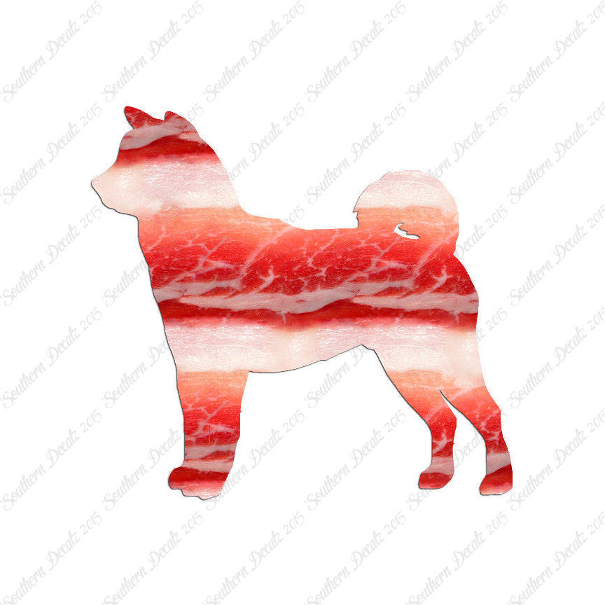 Shiba Inu Dog Breed