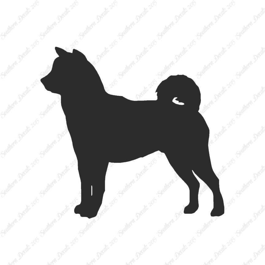 Shiba Inu Dog Breed