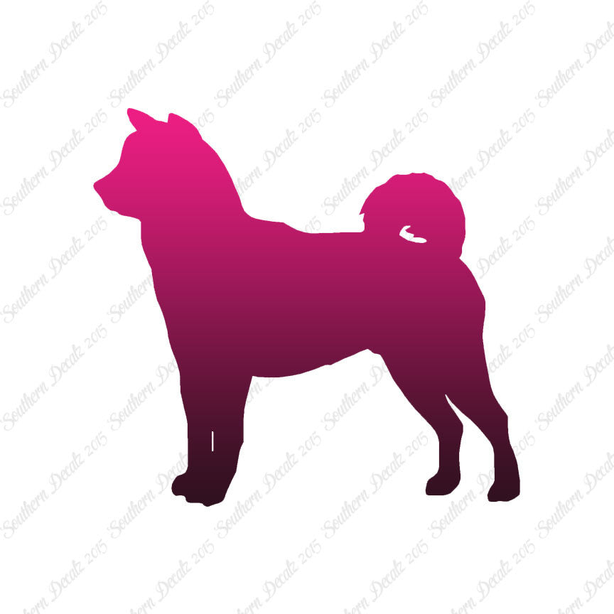 Shiba Inu Dog Breed