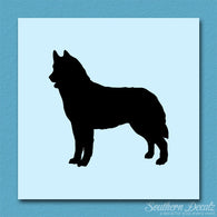 Siberian Husky Dog Breed