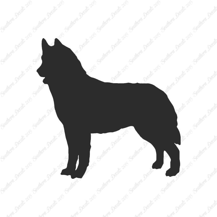 Siberian Husky Dog Breed