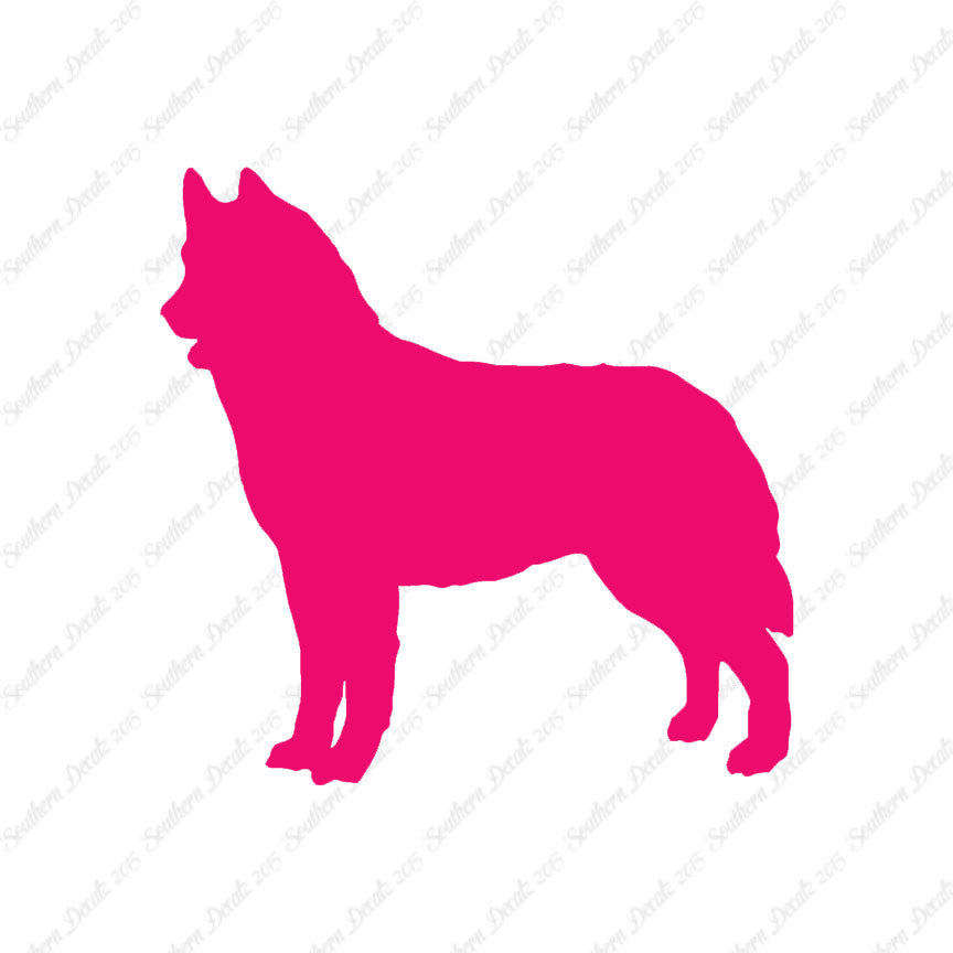 Siberian Husky Dog Breed