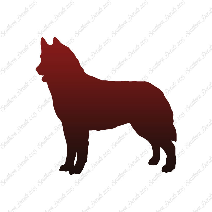 Siberian Husky Dog Breed