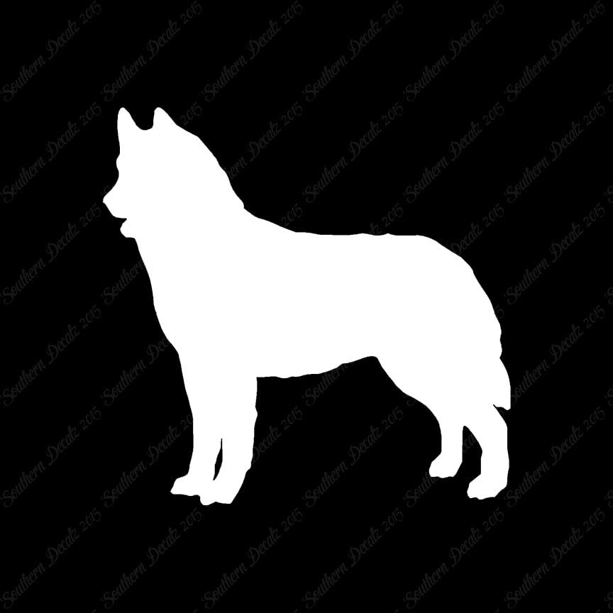 Siberian Husky Dog Breed