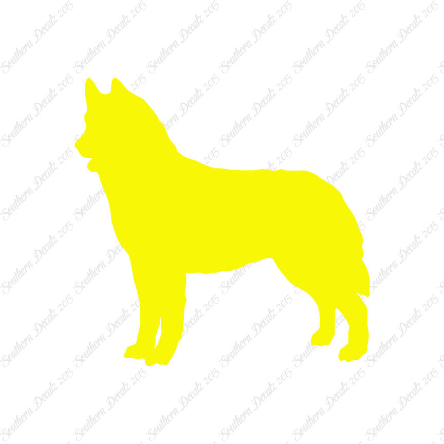 Siberian Husky Dog Breed