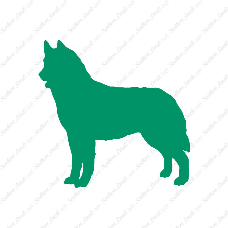 Siberian Husky Dog Breed