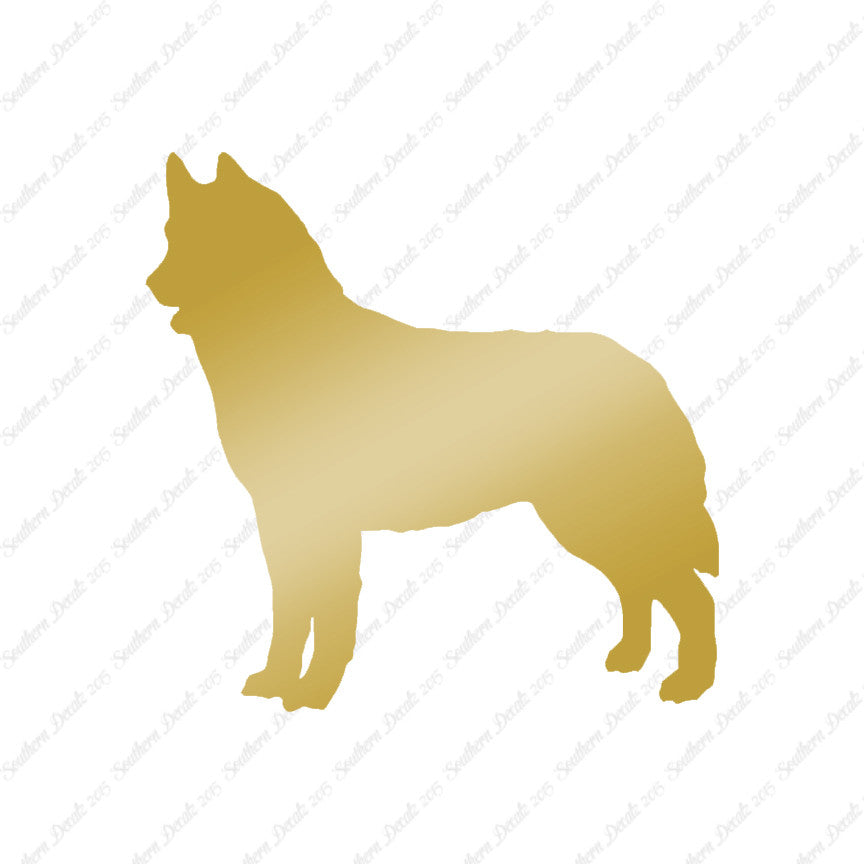Siberian Husky Dog Breed