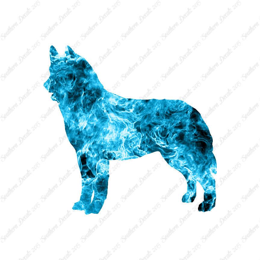 Siberian Husky Dog Breed