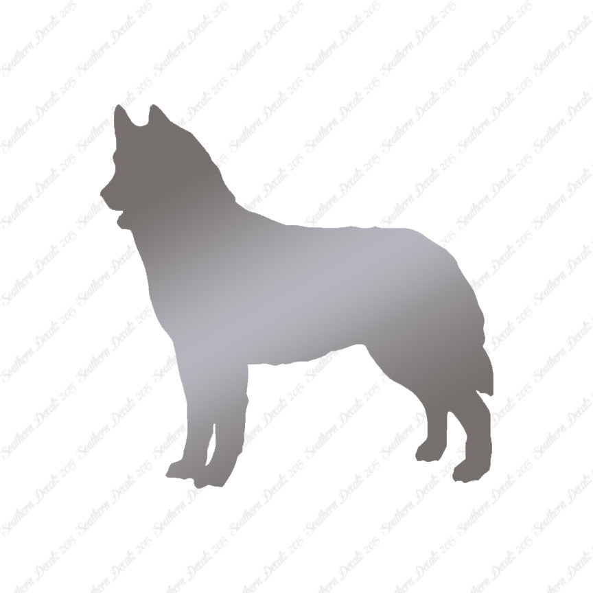 Siberian Husky Dog Breed