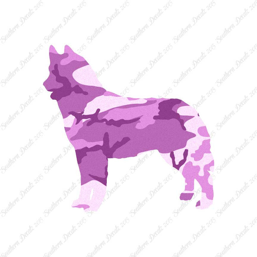 Siberian Husky Dog Breed