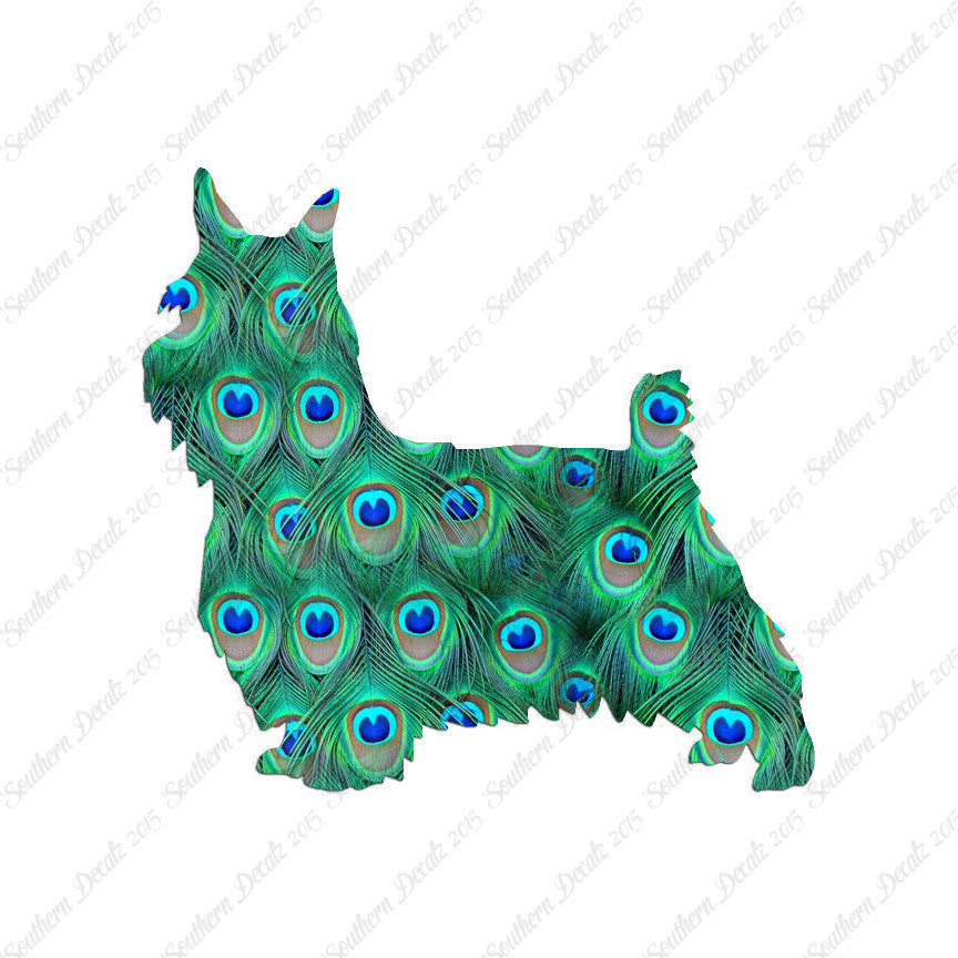 Silky Terrier Dog Breed