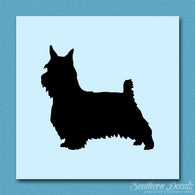 Silky Terrier Dog Breed