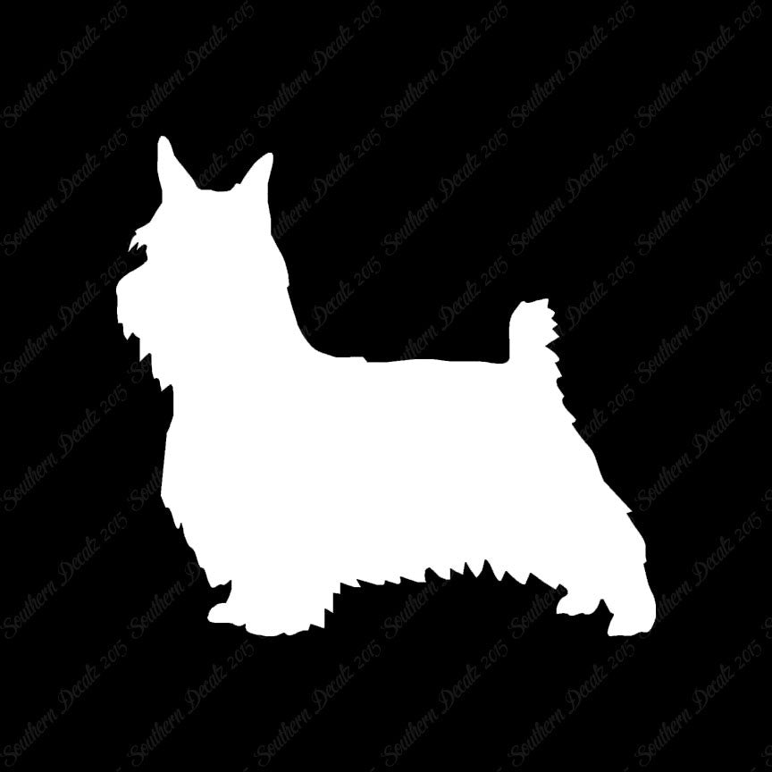 Silky Terrier Dog Breed