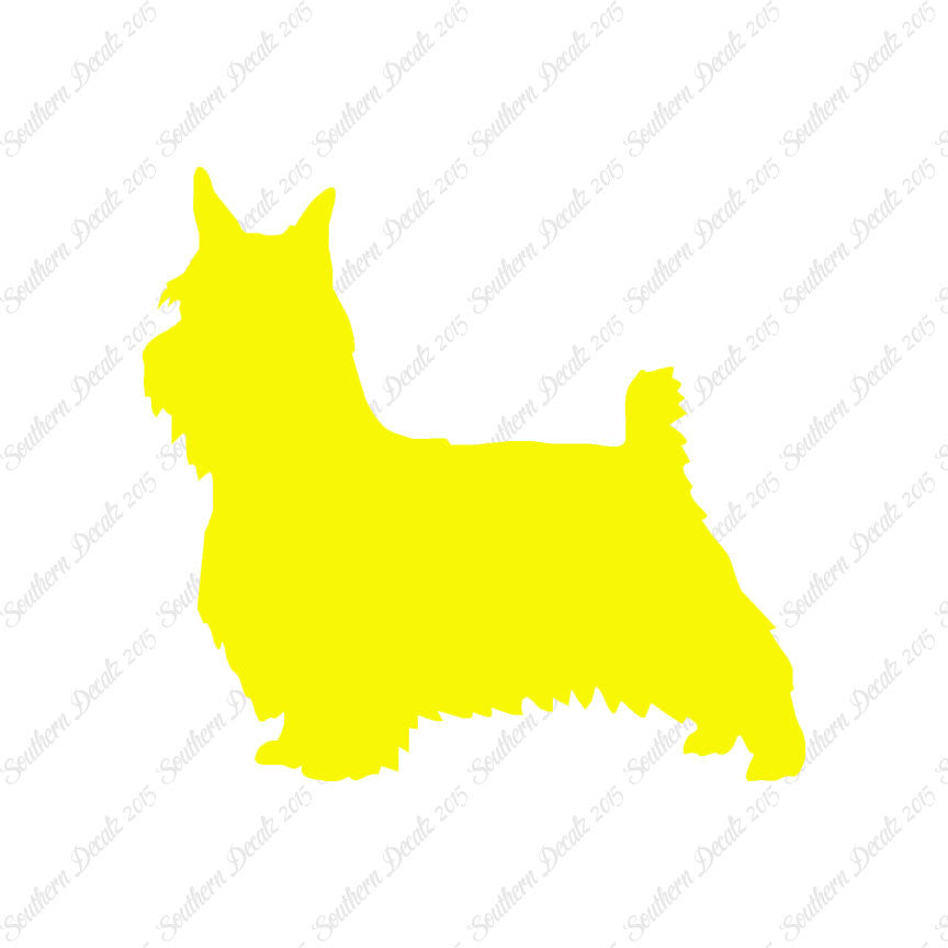 Silky Terrier Dog Breed