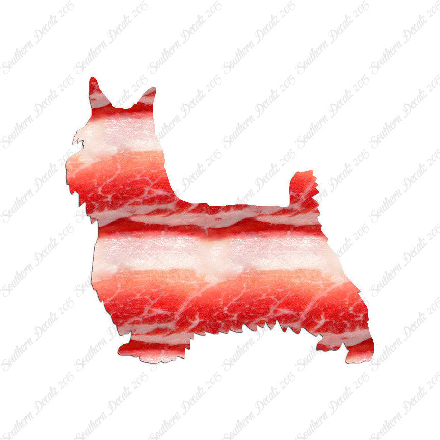 Silky Terrier Dog Breed