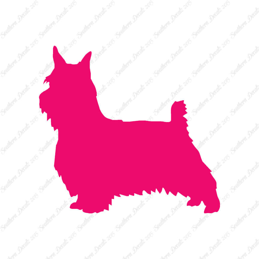 Silky Terrier Dog Breed