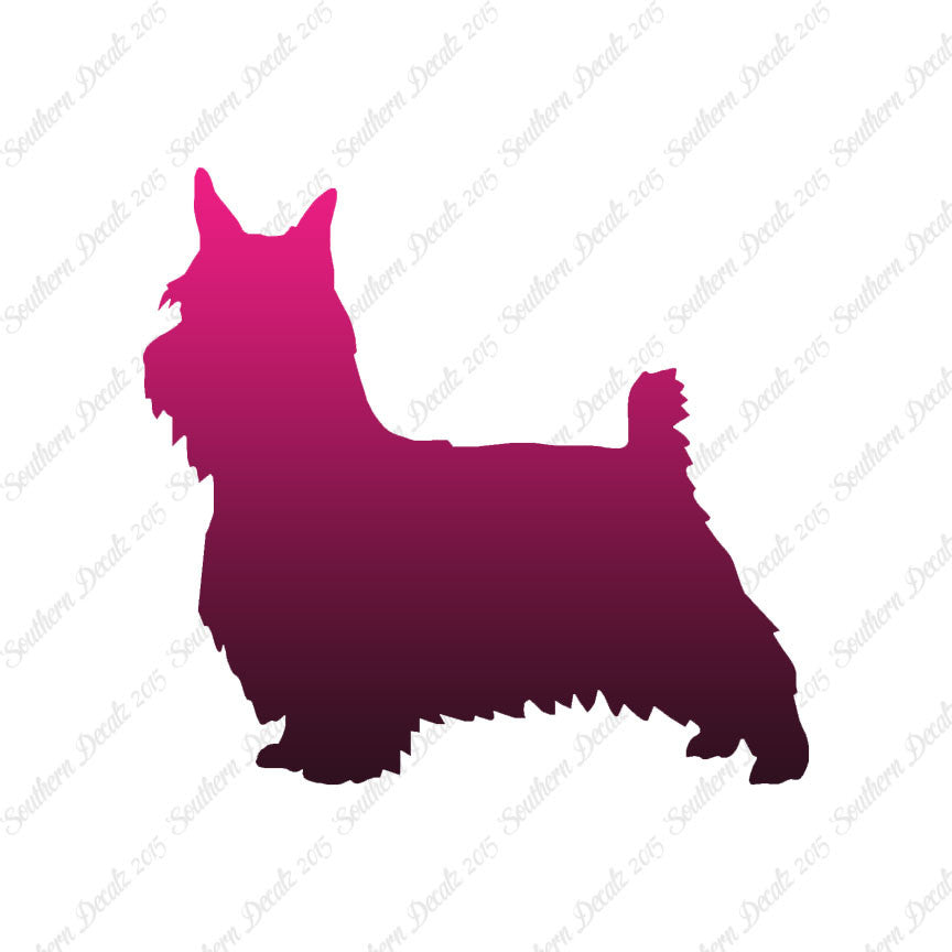 Silky Terrier Dog Breed