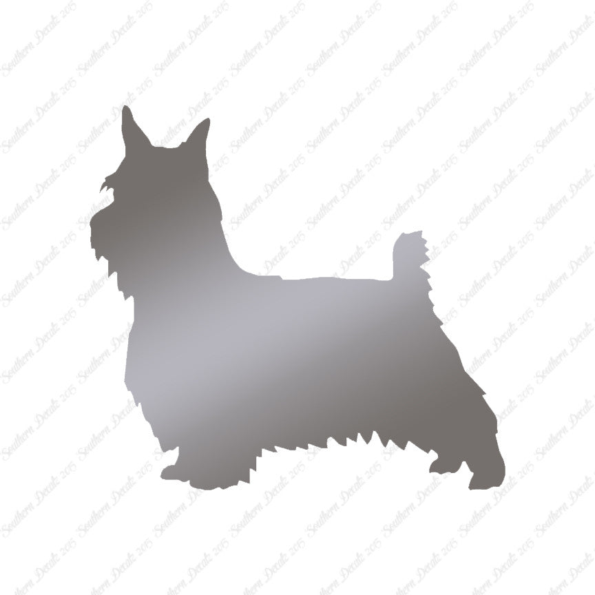 Silky Terrier Dog Breed
