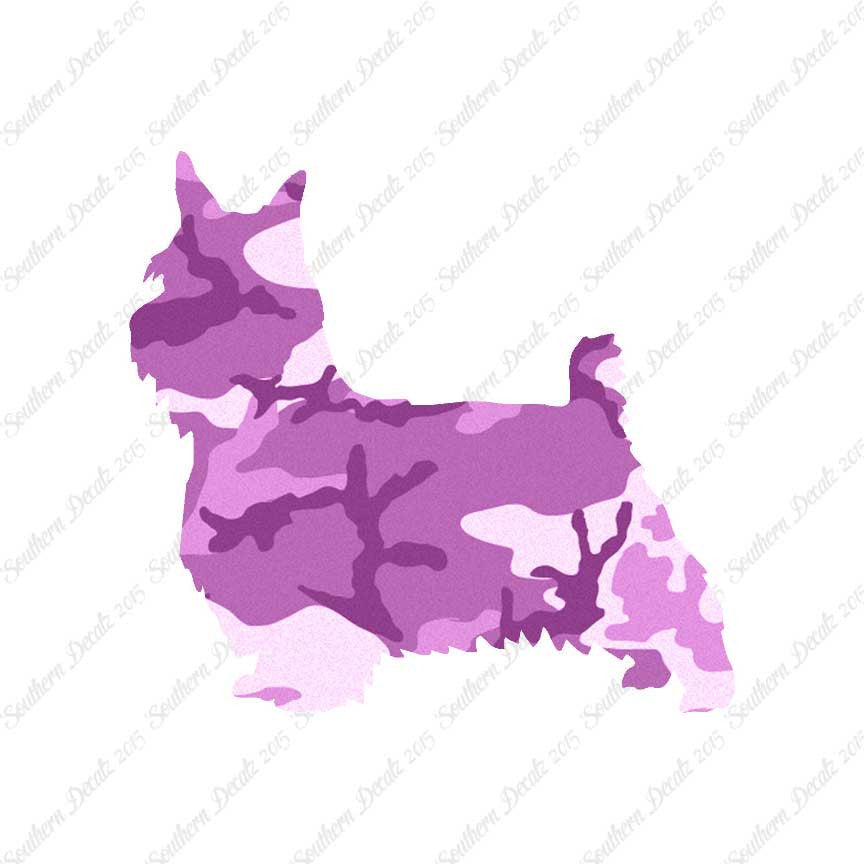 Silky Terrier Dog Breed