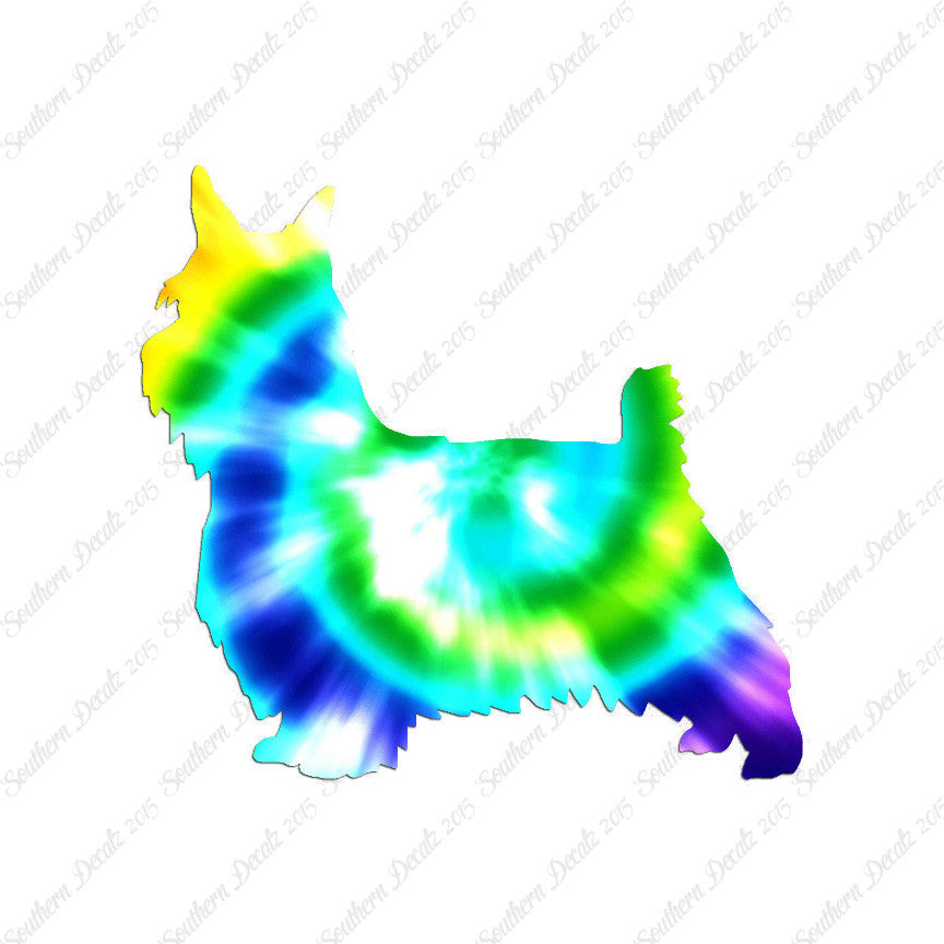Silky Terrier Dog Breed