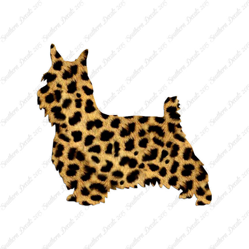 Silky Terrier Dog Breed