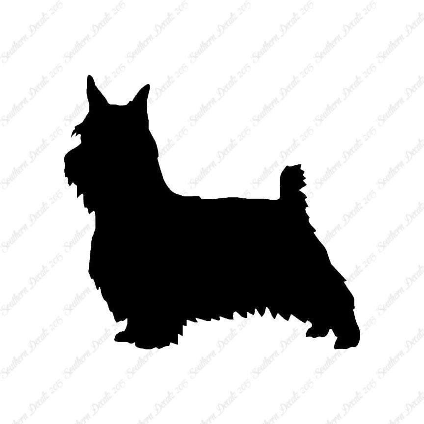 Silky Terrier Dog Breed