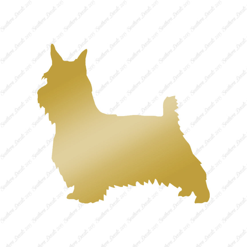 Silky Terrier Dog Breed