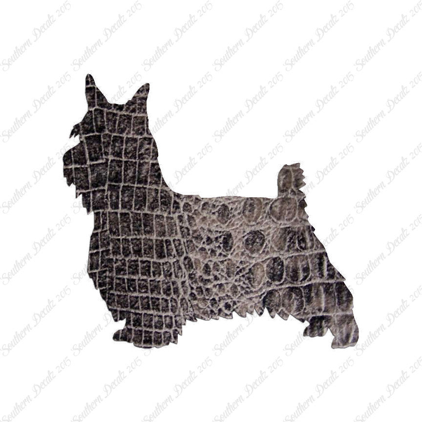 Silky Terrier Dog Breed