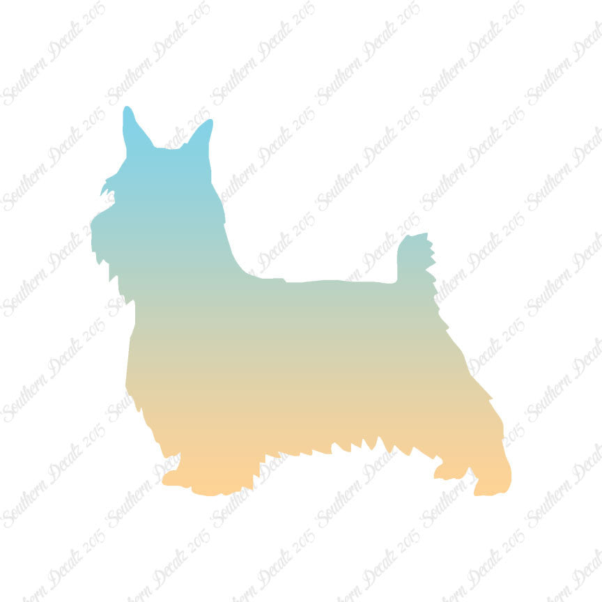 Silky Terrier Dog Breed