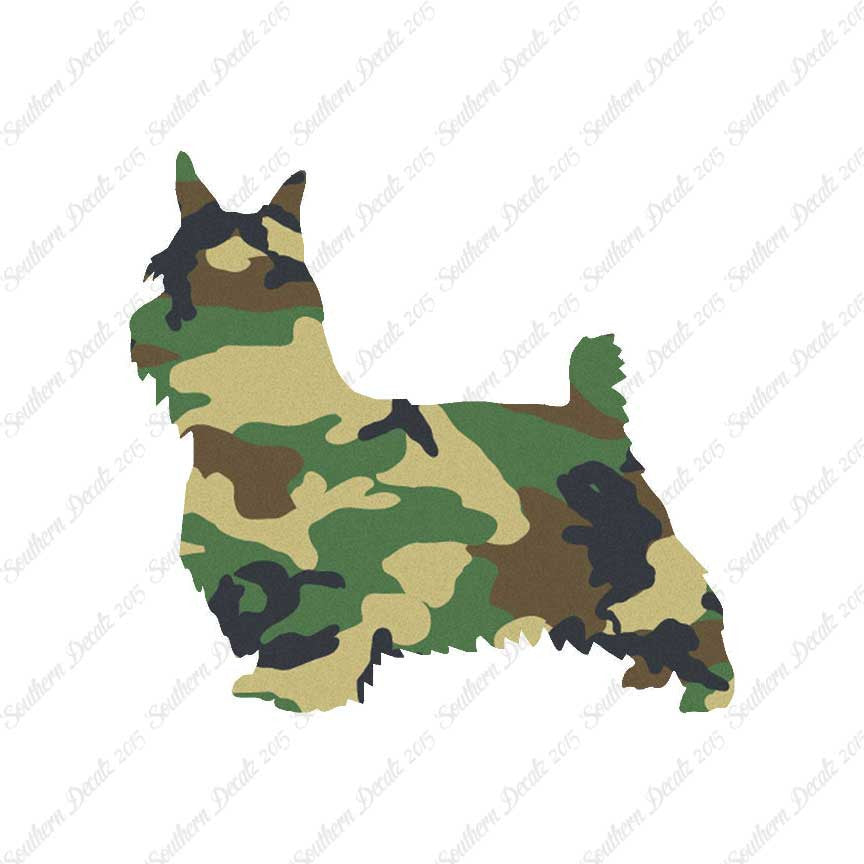 Silky Terrier Dog Breed