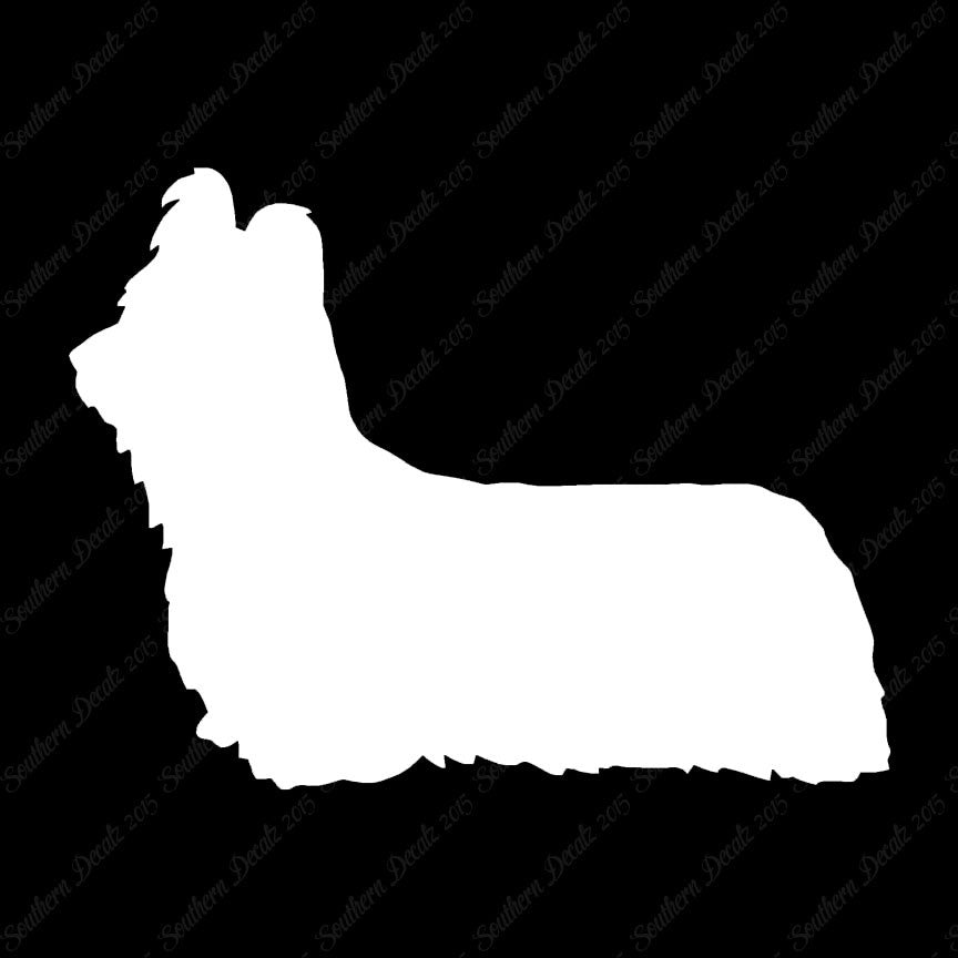 Skye Terrier Dog Breed
