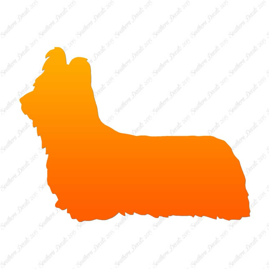 Skye Terrier Dog Breed