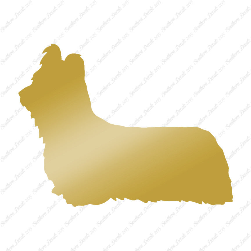 Skye Terrier Dog Breed