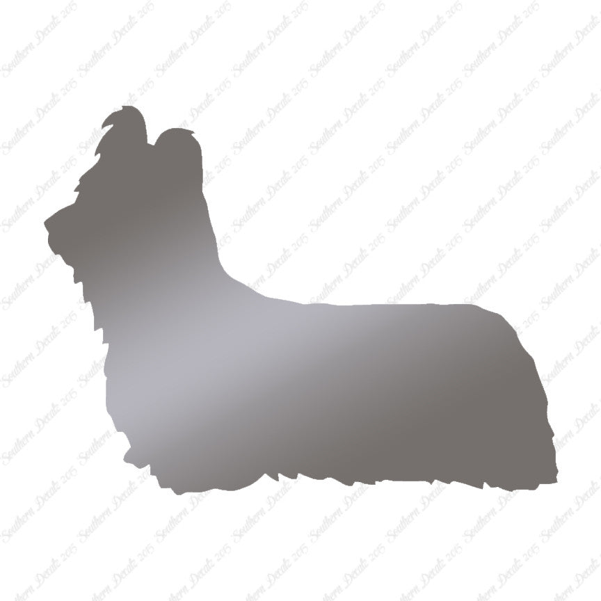 Skye Terrier Dog Breed