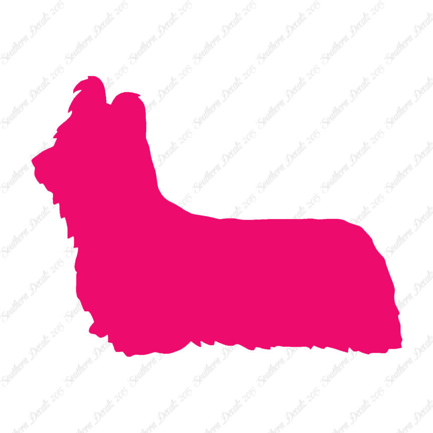 Skye Terrier Dog Breed