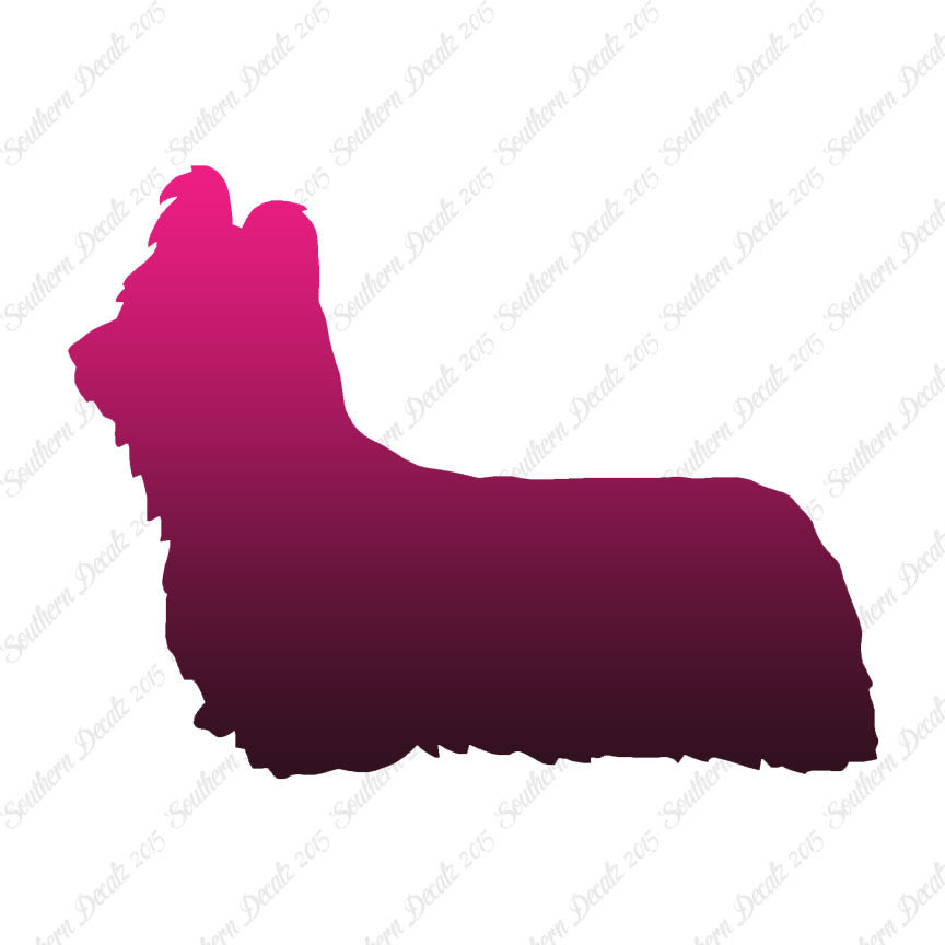 Skye Terrier Dog Breed