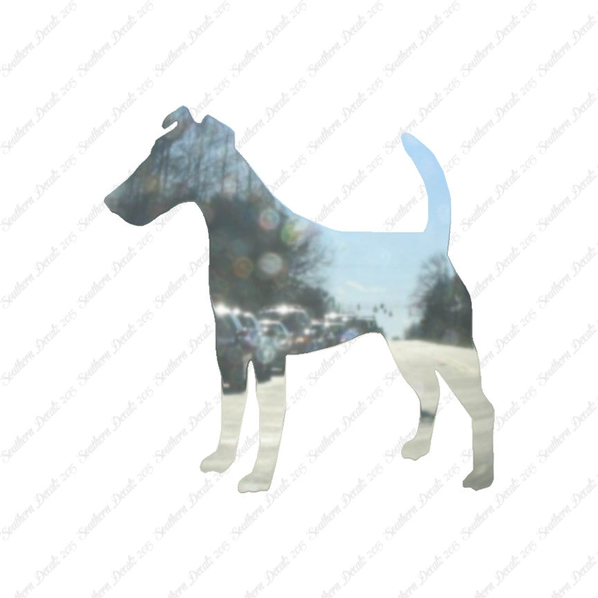 Smooth Fox Terrier Dog Breed