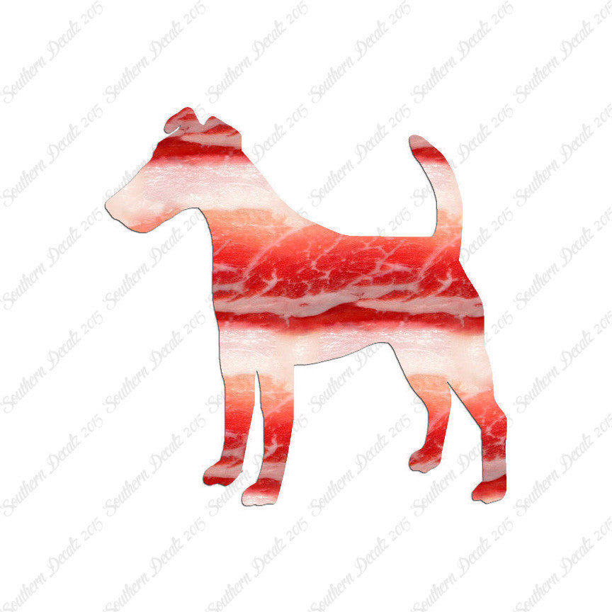 Smooth Fox Terrier Dog Breed